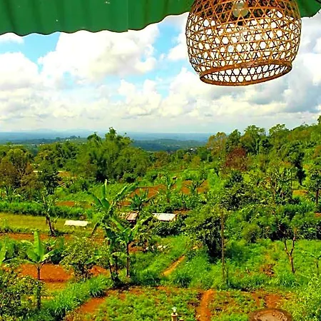 Bali Tree House