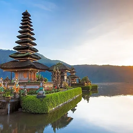 Bali Tree House