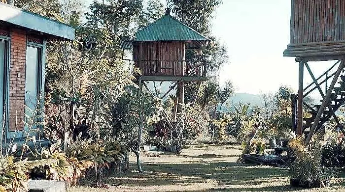 ホテル Bali Tree House Baturiti