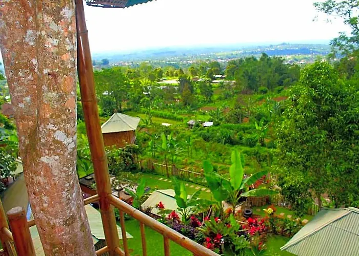 Bali Tree House 4*