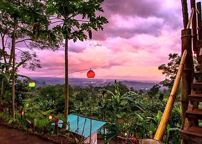 Bali Tree House فندق Baturiti