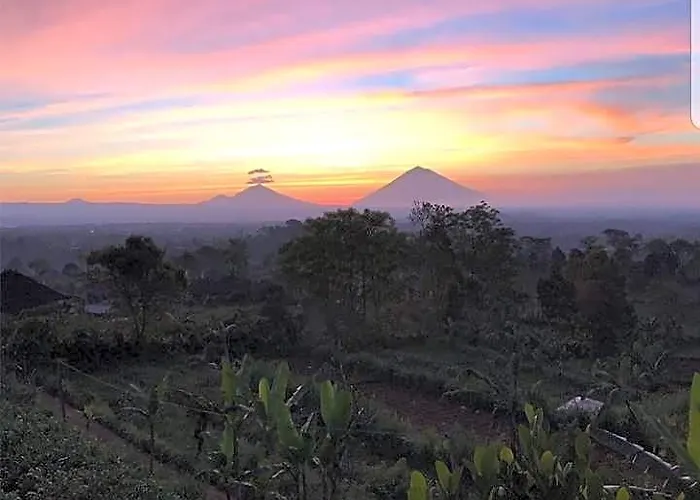 Bali Tree House 4*