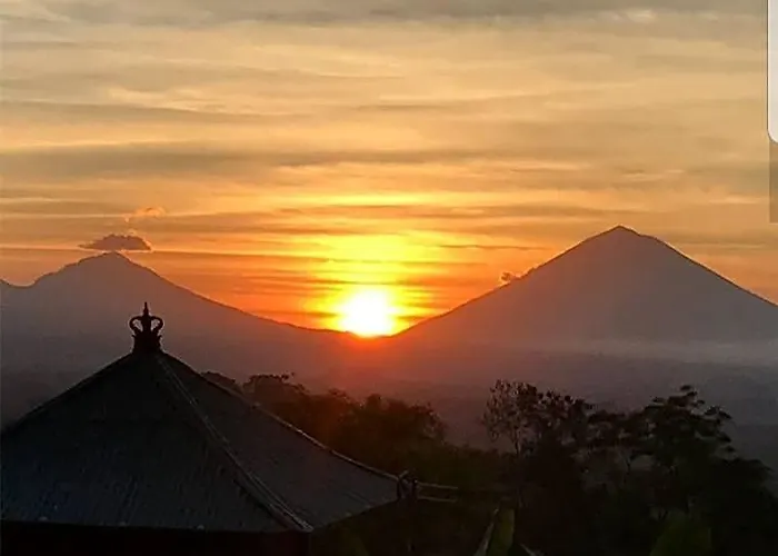 Bali Tree House 4*
