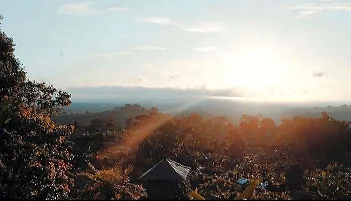 Bali Tree House فندق 4*