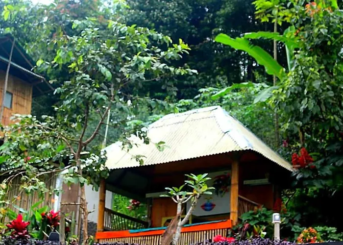 Bali Tree House فندق 4*