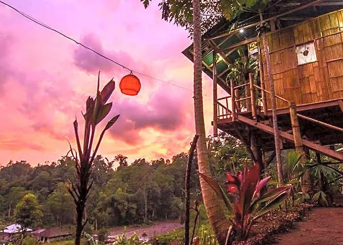 Bali Tree House فندق