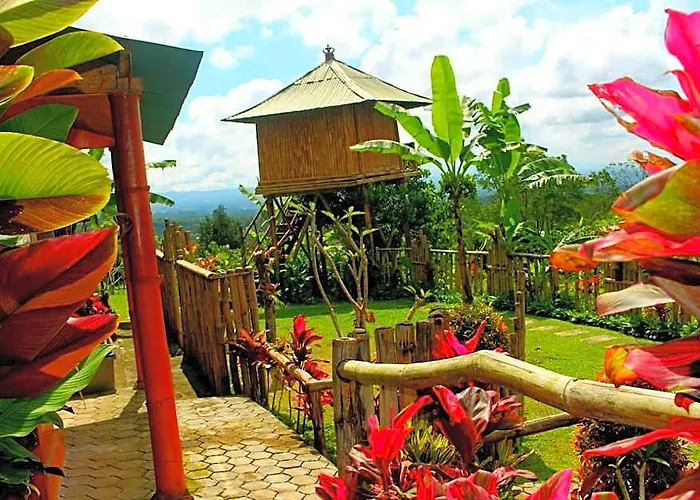 Bali Tree House ホテル