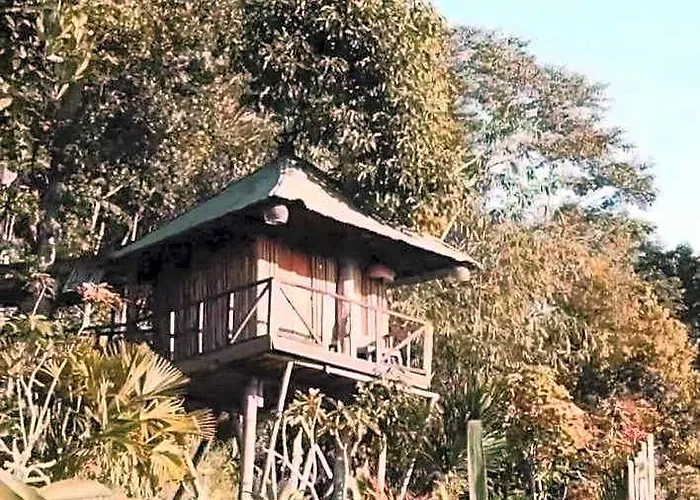 Bali Tree House 4*