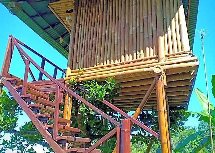 ホテル Bali Tree House 4*