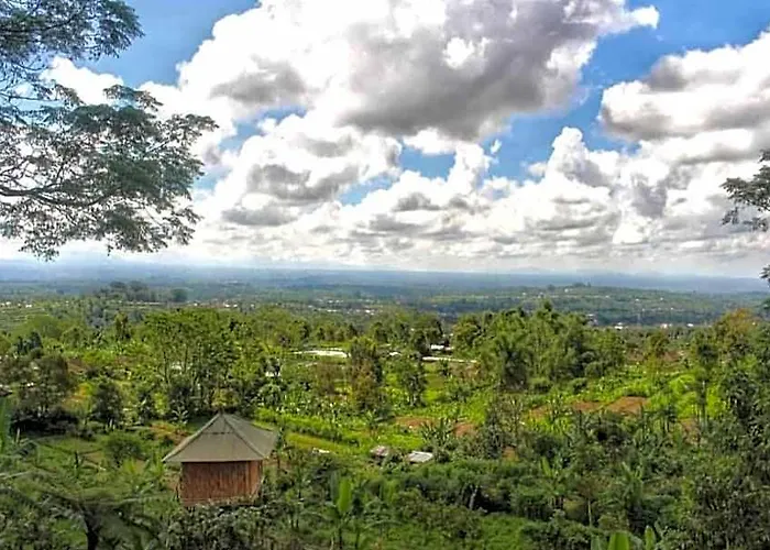 Bali Tree House Baturiti