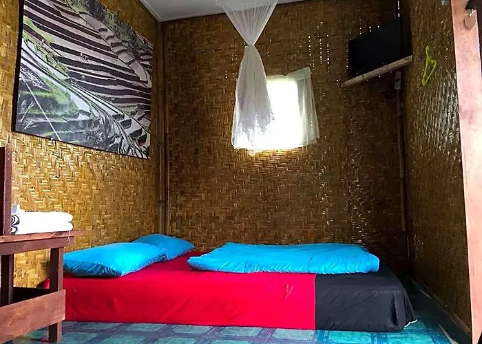 ホテル Bali Tree House 4*