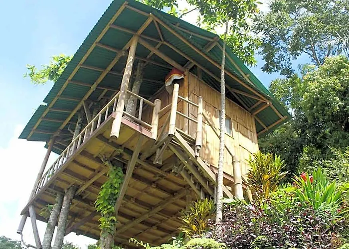 Bali Tree House ホテル 4*