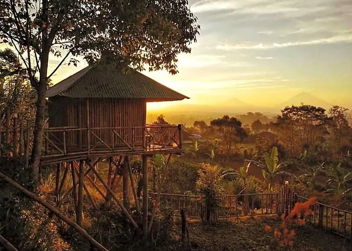 Bali Tree House 4*